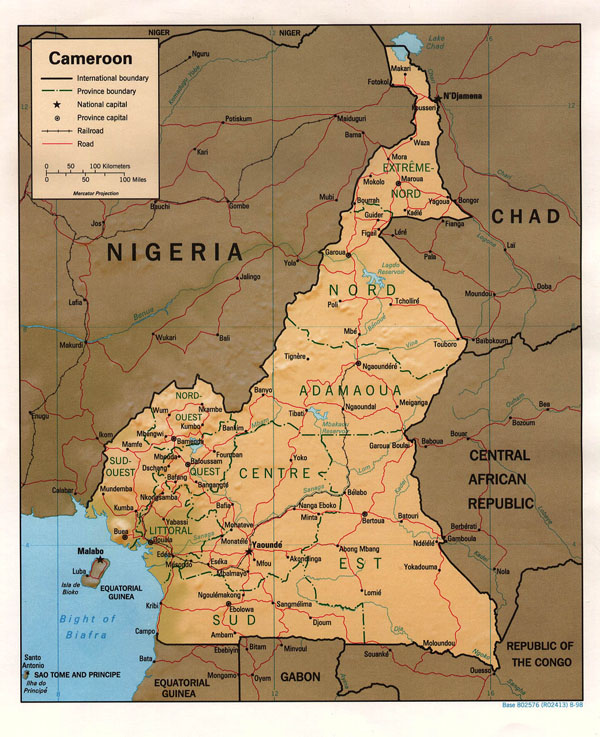 Detailed relief and political map of Cameroon.