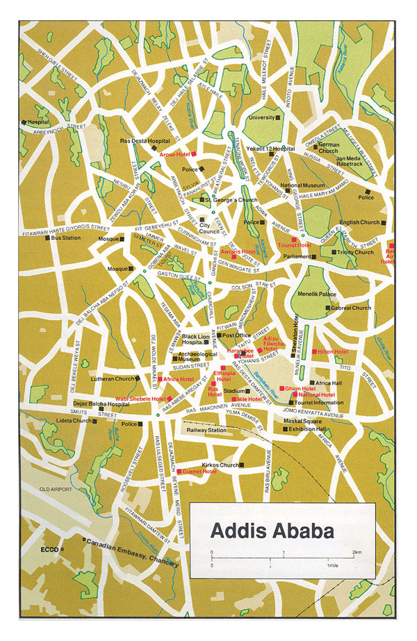 Roads map of Addis Ababa city with street names.