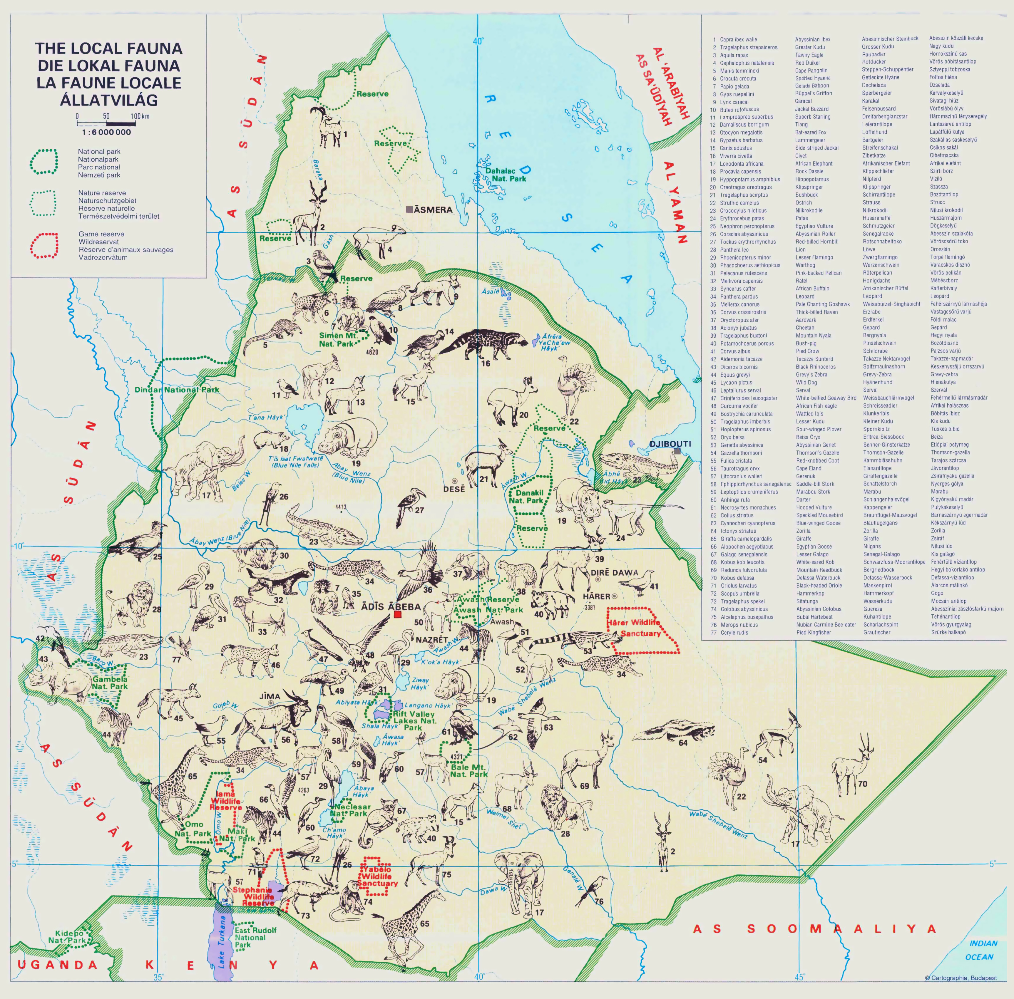 Large Detailed Local Fauna Map Of Ethiopia Ethiopia Large