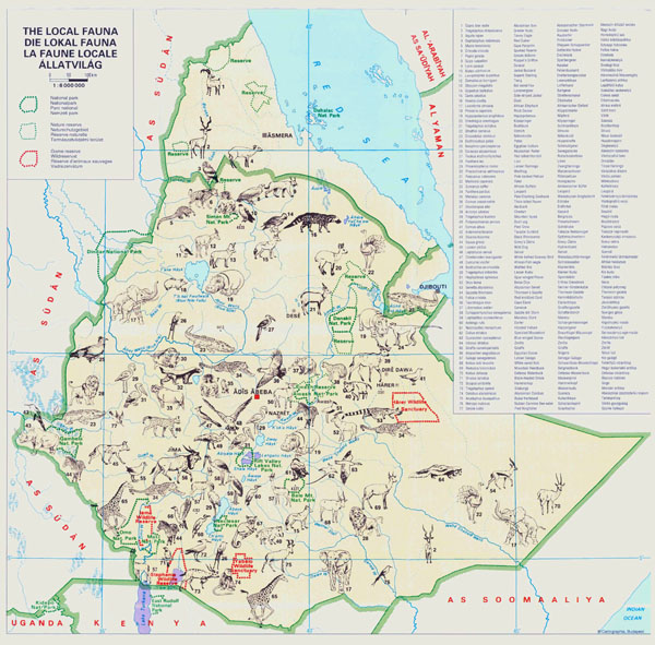 Large detailed local fauna map of Ethiopia. Ethiopia large detailed local fauna map.