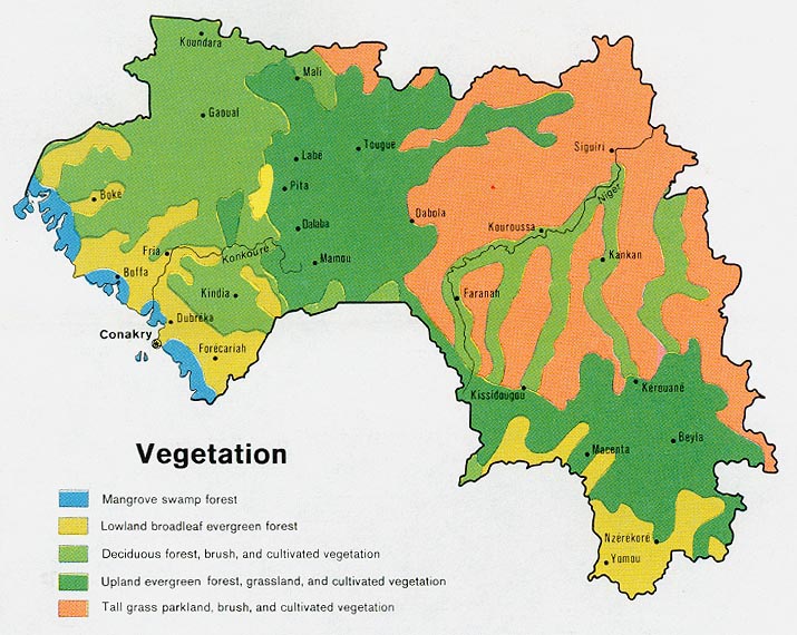 Guinea vegetation map of 1973. Vegetation map of Guinea 1973. Guinea vegetation map of 1973. Vegetation map of Guinea 1973.