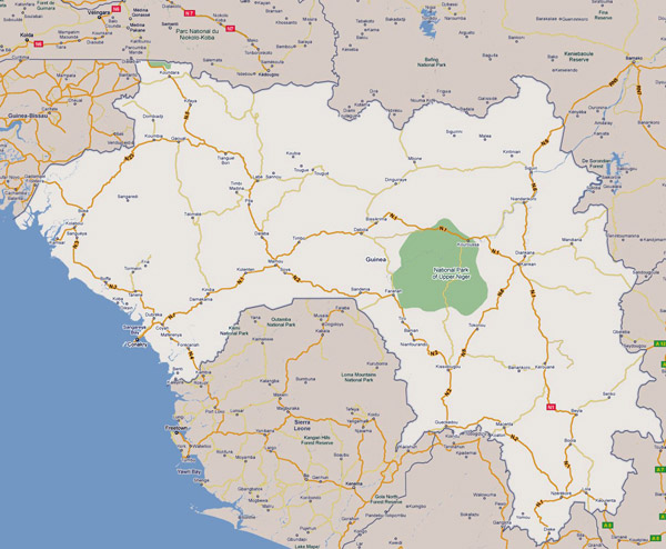 Road map of Guinea with cities. Guinea road map with cities.