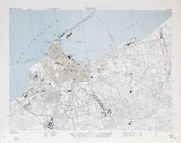 Large detailed topographical map of Tripoli 1943.