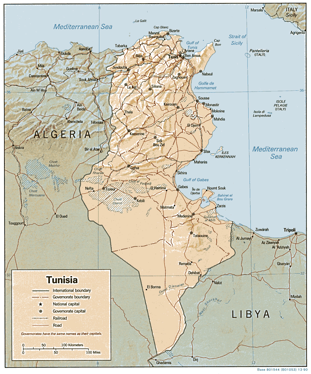 Detailed Relief And Political Map Of Tunisia Tunisia Detailed Relief 