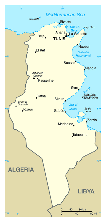 Map of Tunisia. Tunisia map.
