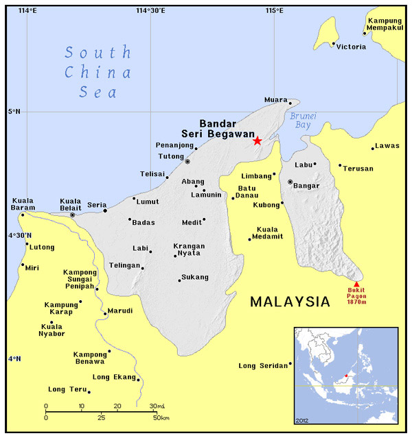 Detailed political map of Brunei. Brunei detailed political map.