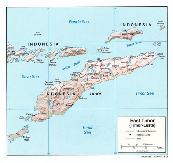 Political map of East Timor. East Timor political map.