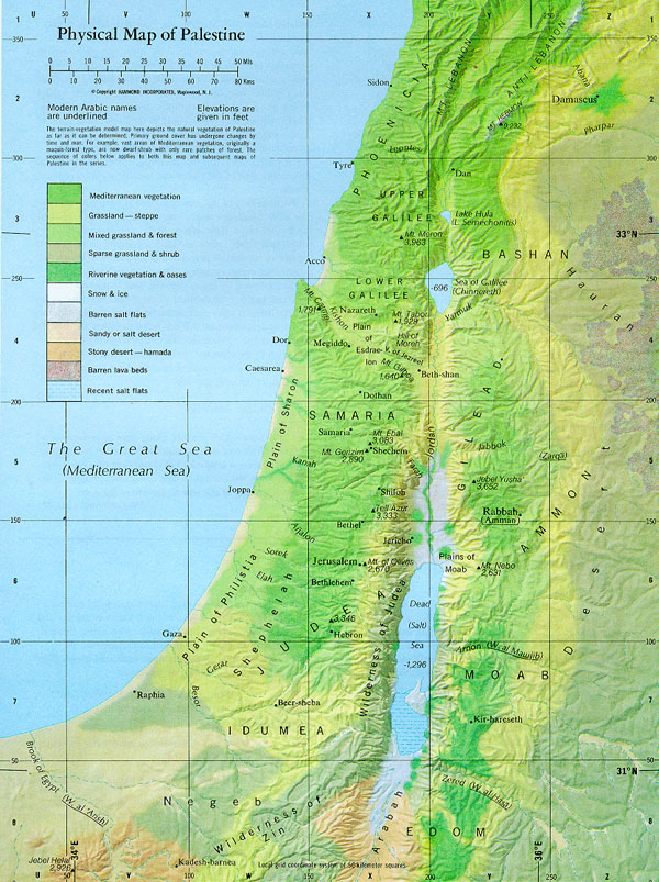 Detailed physical map of Palestine. Palestine detailed physical map.