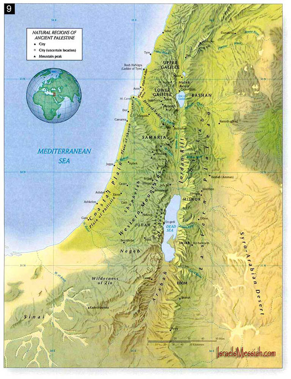 Detailed topographical map of Palestine. Palestine detailed topographical map.