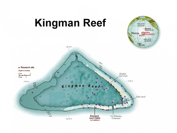 Detailed map of Kingman Reef. Kingman Reef detailed map.