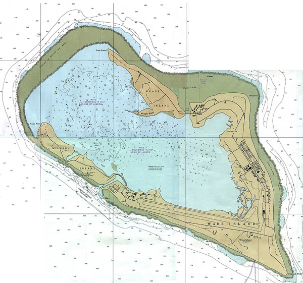 Large detailed topographical map of Kingman Reef with roads and buildings.