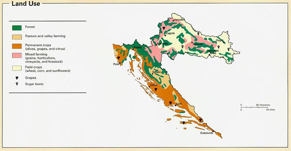 Land use map of the Croatia. Croatia land use map.