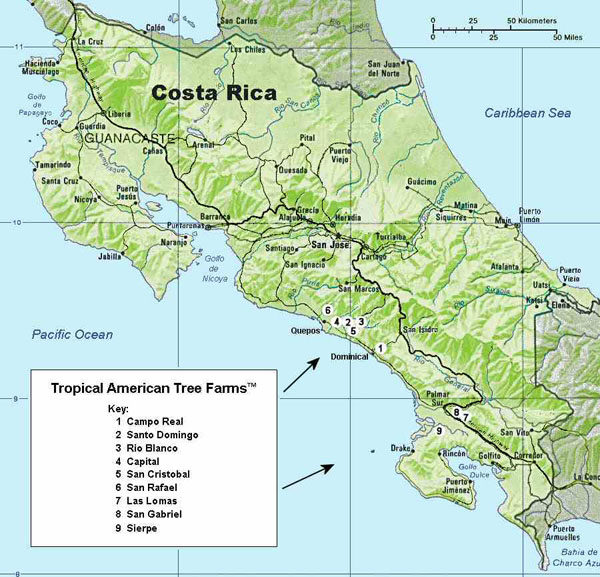 Detailed relief map of Costa Rica. Costa Rica detailed relief map.